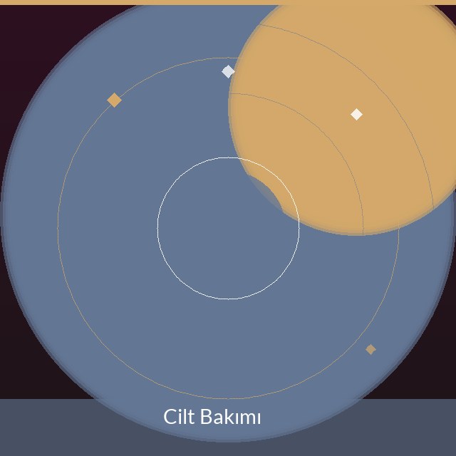 Cilt Bakımı Hizmetleri