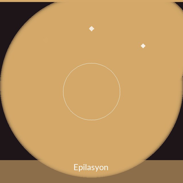 Epilasyon Hizmetleri